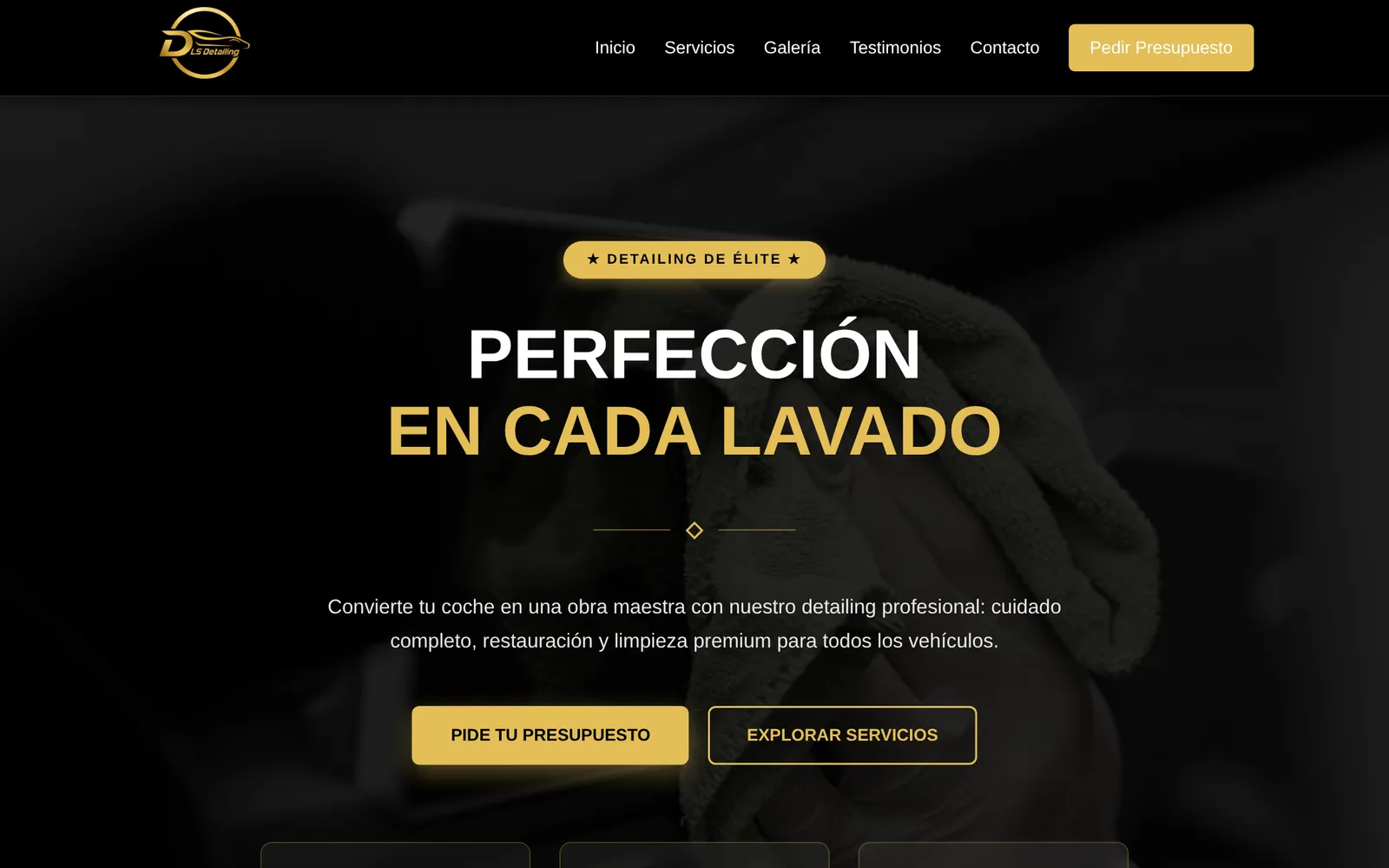 Web de DLS Detailing creada por AAS Marketing